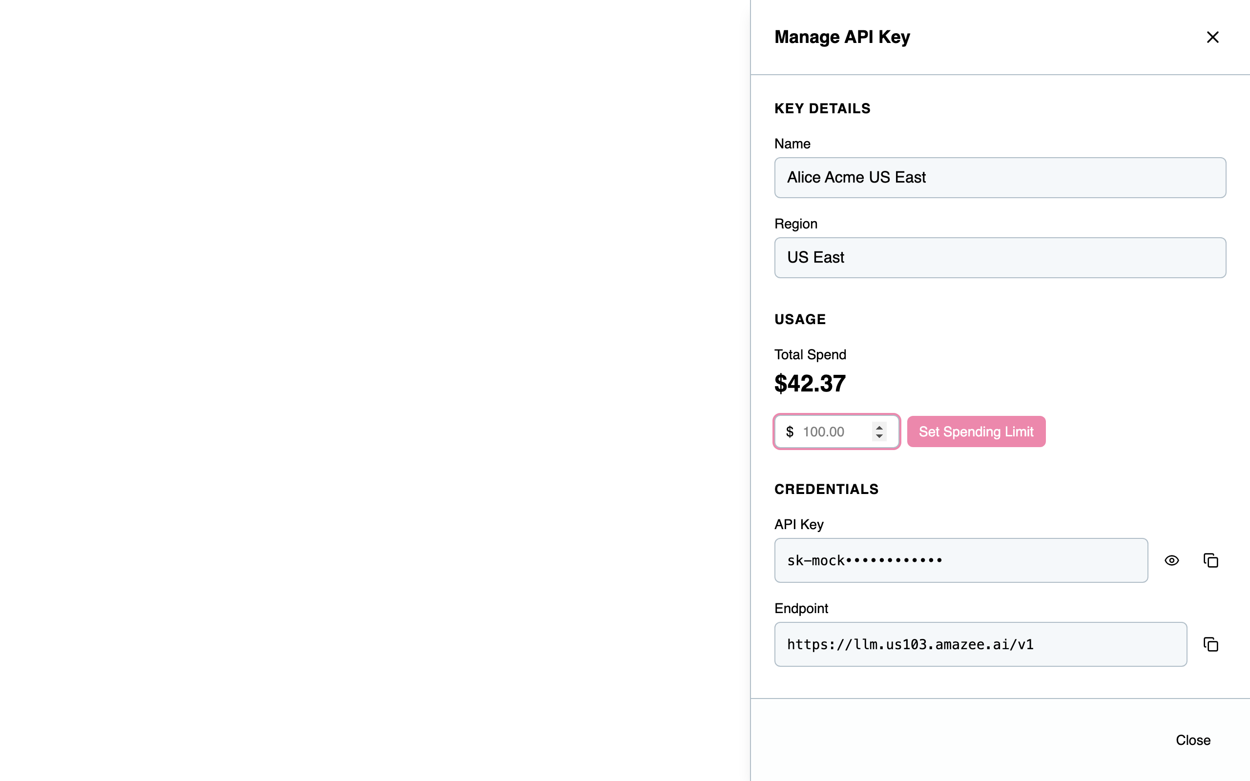 Manage API Key panel — view credentials and copy your endpoint
