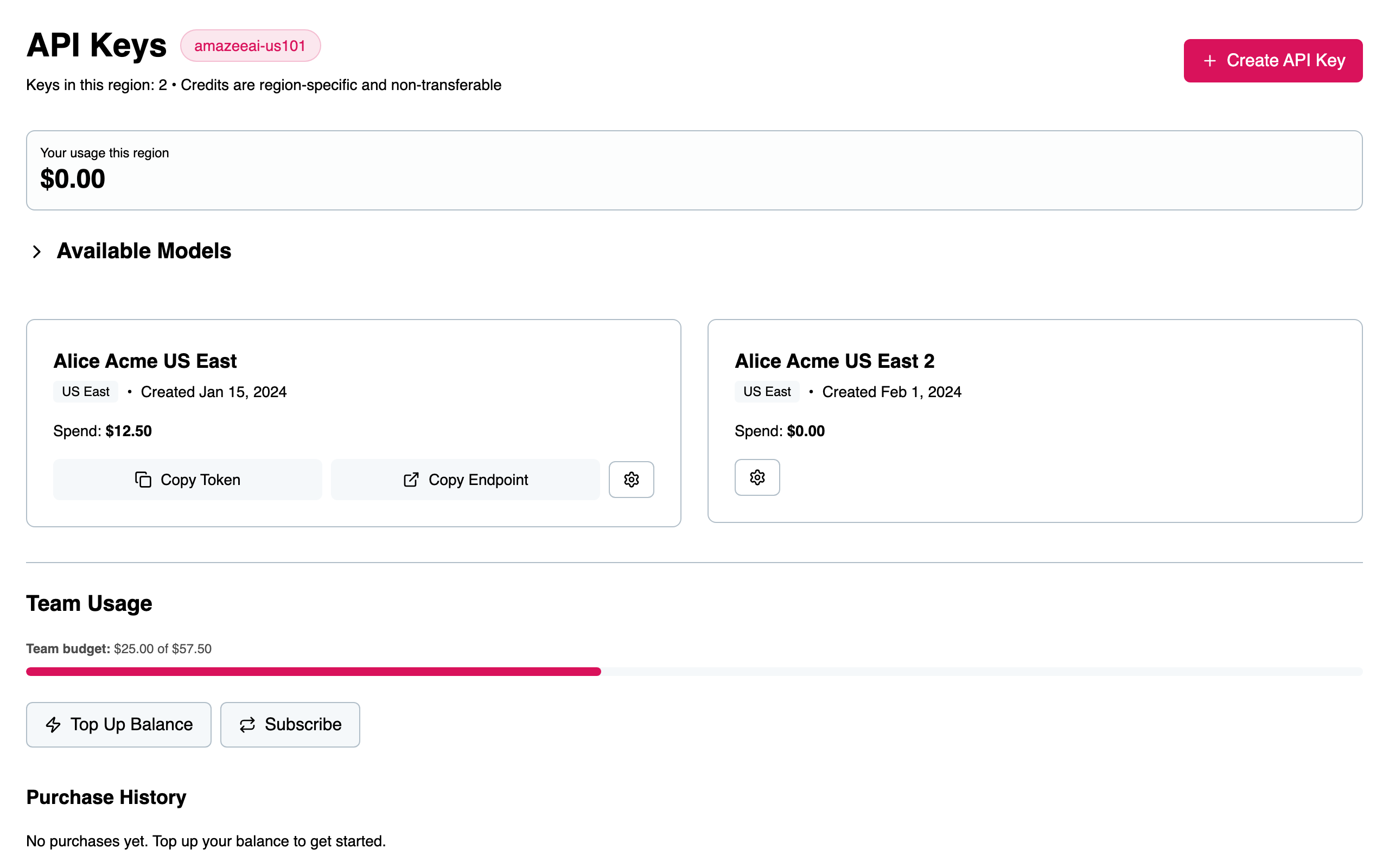 API Keys page — keys list, usage bar, top-up action, and purchase history